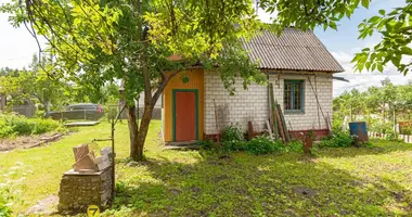 Дом в Пережирский сельский Совет, Беларусь