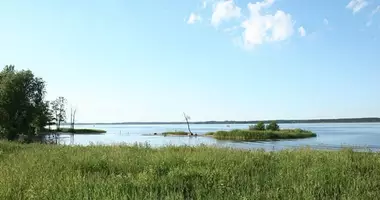Plot of land in Babites novads, Latvia