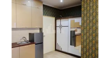 1 bedroom apartment in Tbilisi, Georgia