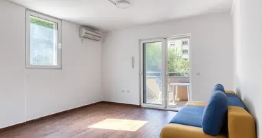 Mieszkanie 1 pokój w Rafailovici, Czarnogóra