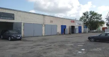 Fabrication 380 m² dans Ivanava, Biélorussie