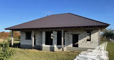 House in Vialikija Lepiasy, Belarus