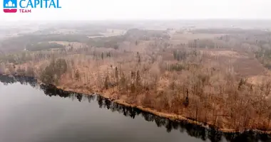 Plot of land in Veisiejai, Lithuania