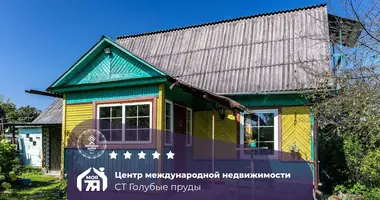 Maison dans Dziahilna, Bélarus