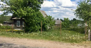 House in Kniahininski sielski Saviet, Belarus