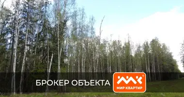 Plot of land in Zanevskoe gorodskoe poselenie, Russia