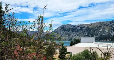 Mieszkanie 3 pokoi w Kotor, Czarnogóra