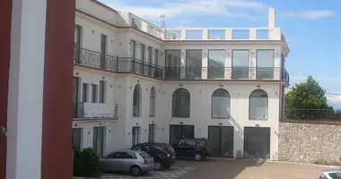 Commercial property 165 m² in Portaria, Greece