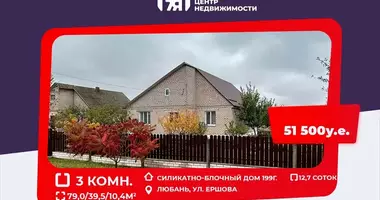 Дом в Любань, Беларусь