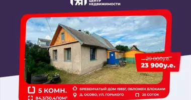 Haus in Zodzinski sielski Saviet, Weißrussland