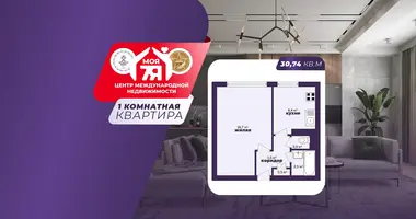 1 room apartment in Minsk, Belarus