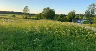 Terrain dans Klopickoe selskoe poselenie, Fédération de Russie