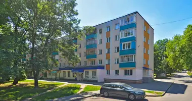 2 bedroom apartment in Minsk, Belarus