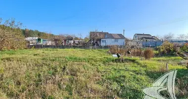 Plot of land in Matykalski sielski Saviet, Belarus