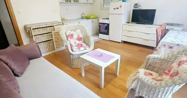 Apartamento 1 habitacion en Montenegro