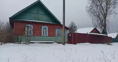 House in Vialikija Bialievicy, Belarus