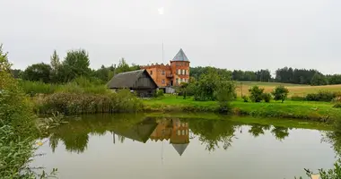 House in Radaskovicki sielski Saviet, Belarus