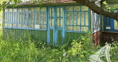 House in Vojski sielski Saviet, Belarus