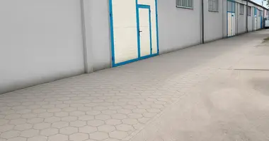 Apartment in Oborniki, Poland