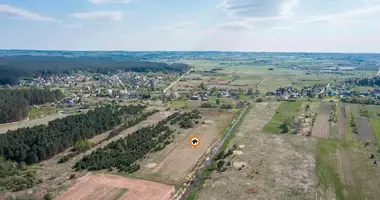 Plot of land in Rukainiai, Lithuania