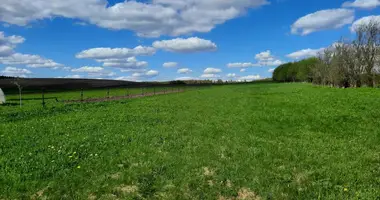 Plot of land in Jzufouski sielski Saviet, Belarus