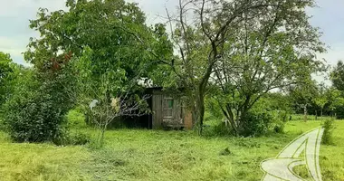 House in Kryulianski sielski Saviet, Belarus