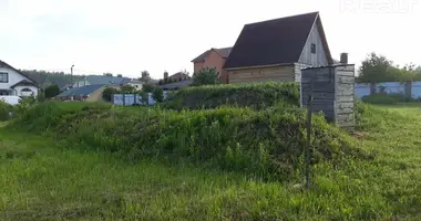 House in Juchnauka, Belarus