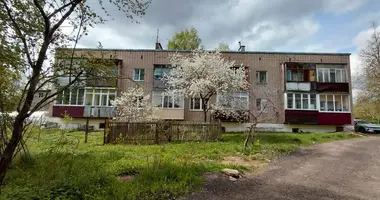 Appartement 2 chambres dans Haradzishcha, Bélarus