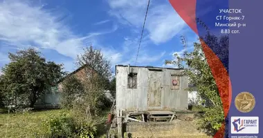 Plot of land in Piatryskauski sielski Saviet, Belarus