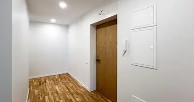 2 bedroom apartment in Riga, Latvia