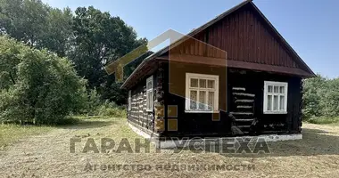 House in Kamarouka, Belarus