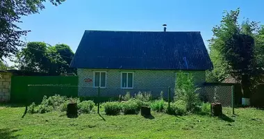 Haus in Slovenskiy selskiy Sovet, Weißrussland