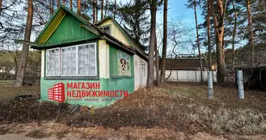 Casa 2 habitaciones en Padlabienski siel ski Saviet, Bielorrusia