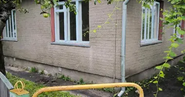 Haus in Petrykau, Belarus