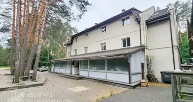 Commercial property 962 m² in Zhdanovichy, Belarus