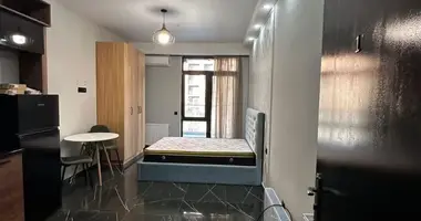 1 bedroom apartment with Furniture, with Air conditioner, with Wi-Fi in Tbilisi, Georgia