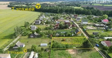 Plot of land in Holacki sielski Saviet, Belarus