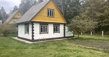 House in Lipienski sielski Saviet, Belarus