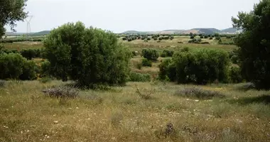 Grundstück in Polygyros, Griechenland