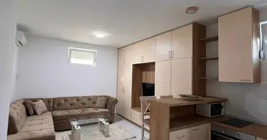 Studio apartment in Montenegro