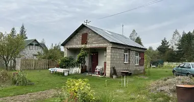 House in Maisiejeuscynski sielski Saviet, Belarus