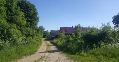 Maison dans Visnieuski siel ski Saviet, Biélorussie