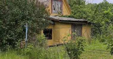 Maison dans Aliachnovicki sielski Saviet, Biélorussie