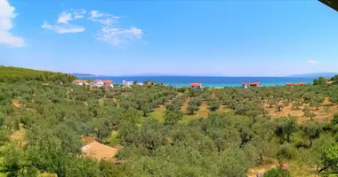 Hotel 224 m² in Metangitsi, Greece