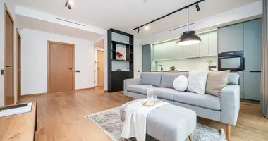 3 room apartment in Vilnius, Lithuania