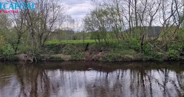 Grundstück in Velpesiai, Litauen