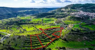 Plot of land in Dora, Cyprus