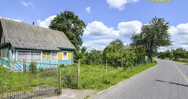 House in Valozynski sielski Saviet, Belarus