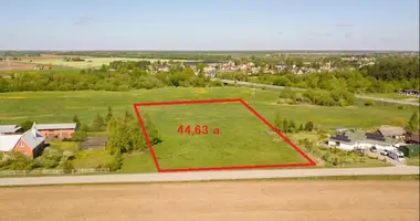 Plot of land in Navarsonys, Lithuania