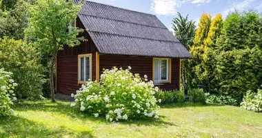 House in Rastinenai, Lithuania